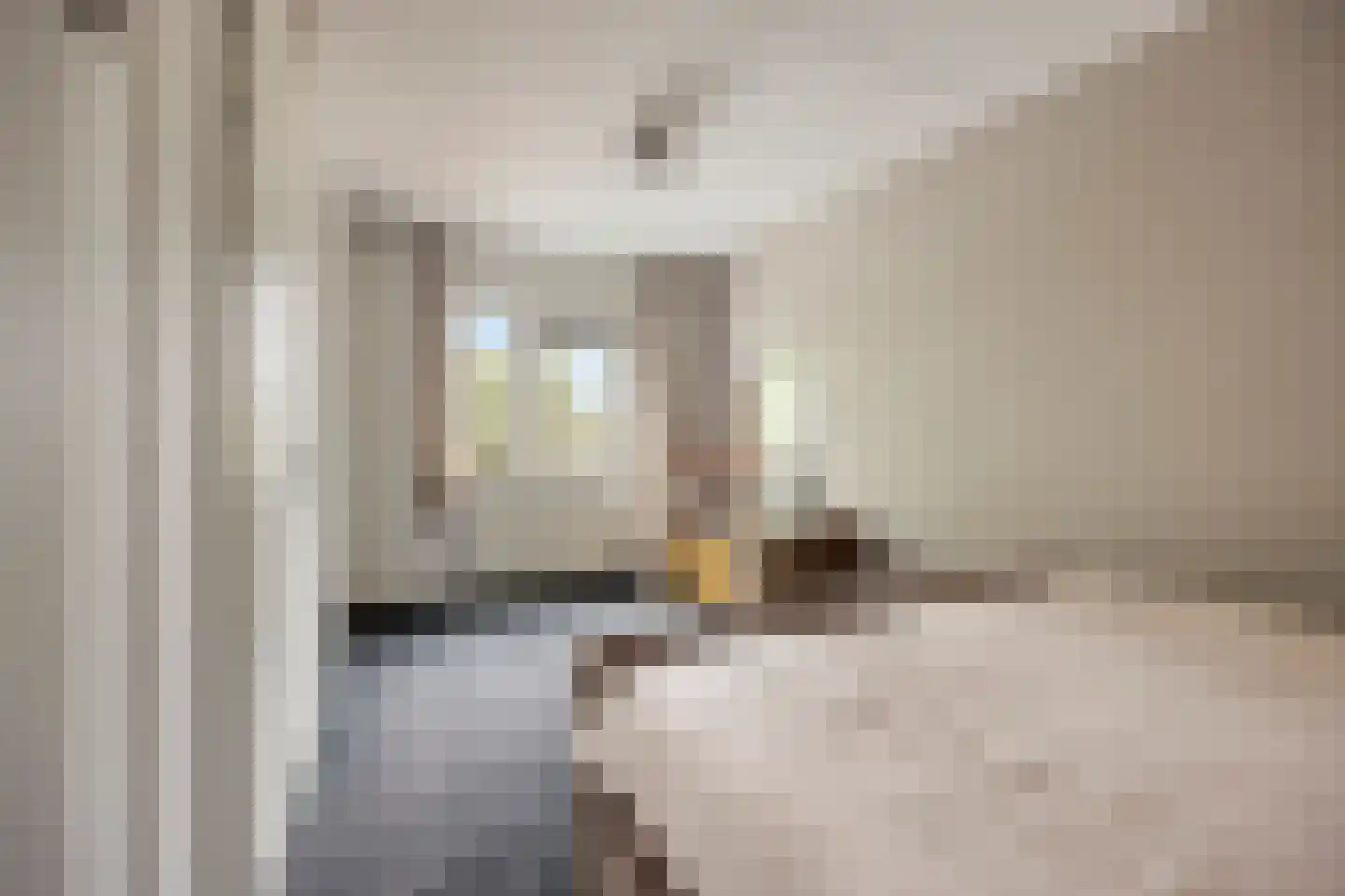Beemd 21 Spierdijk thumbnail 16