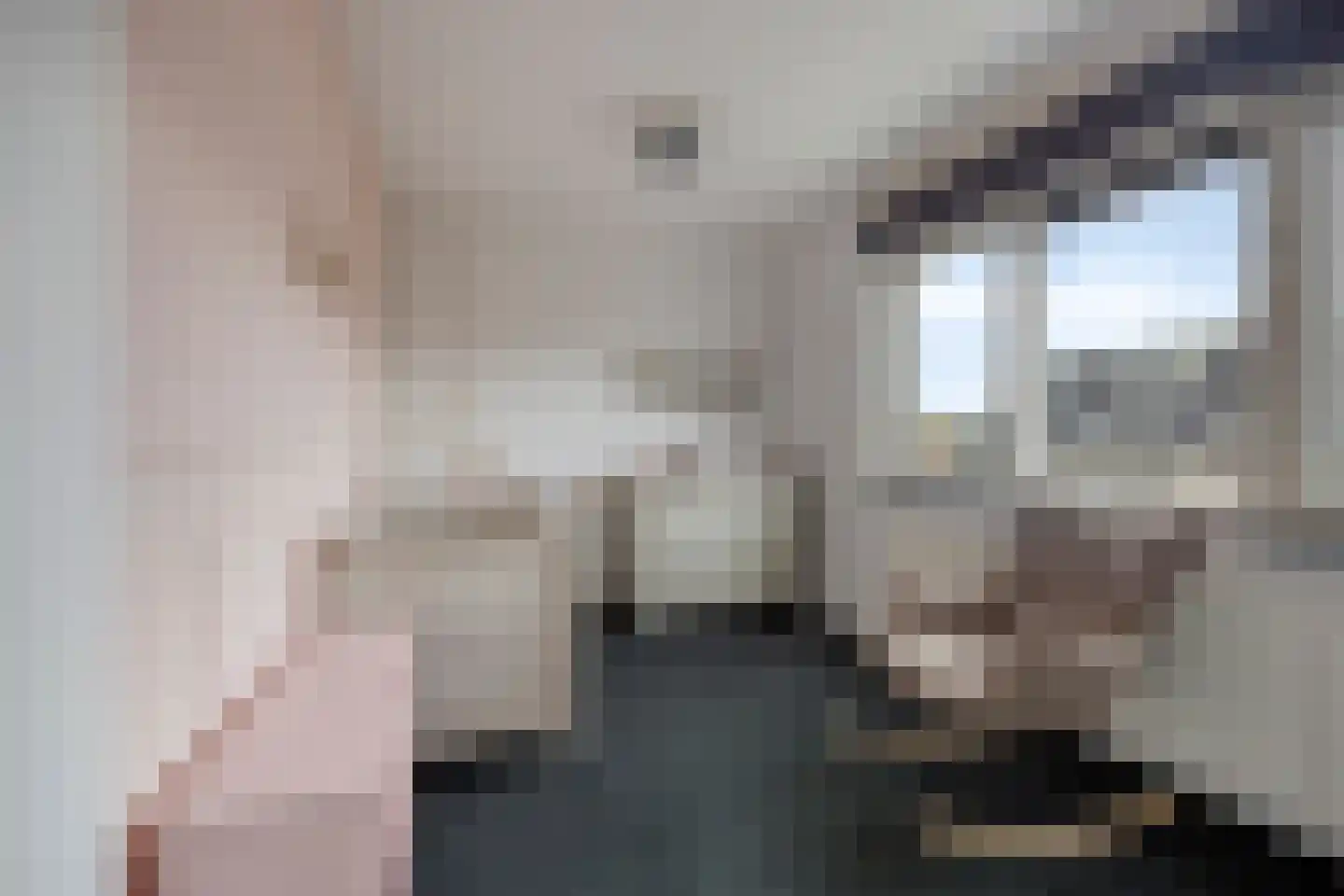 Beemd 21 Spierdijk thumbnail 17