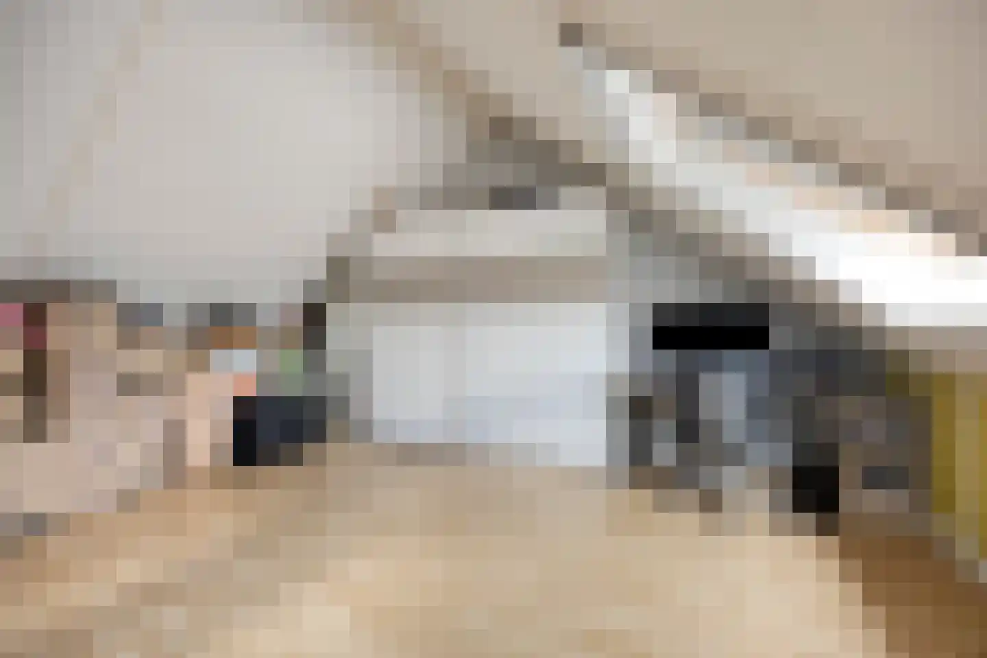 Beemd 21 Spierdijk thumbnail 23