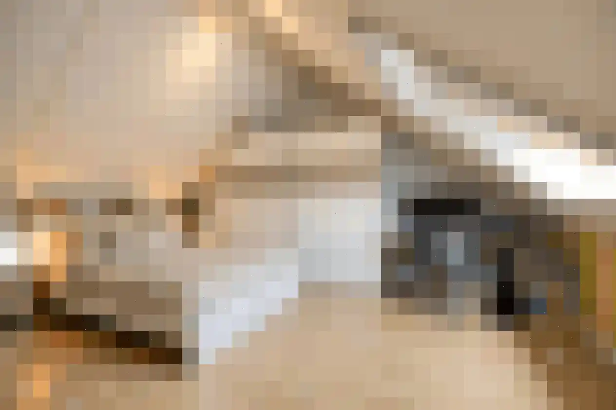 Beemd 21 Spierdijk thumbnail 24