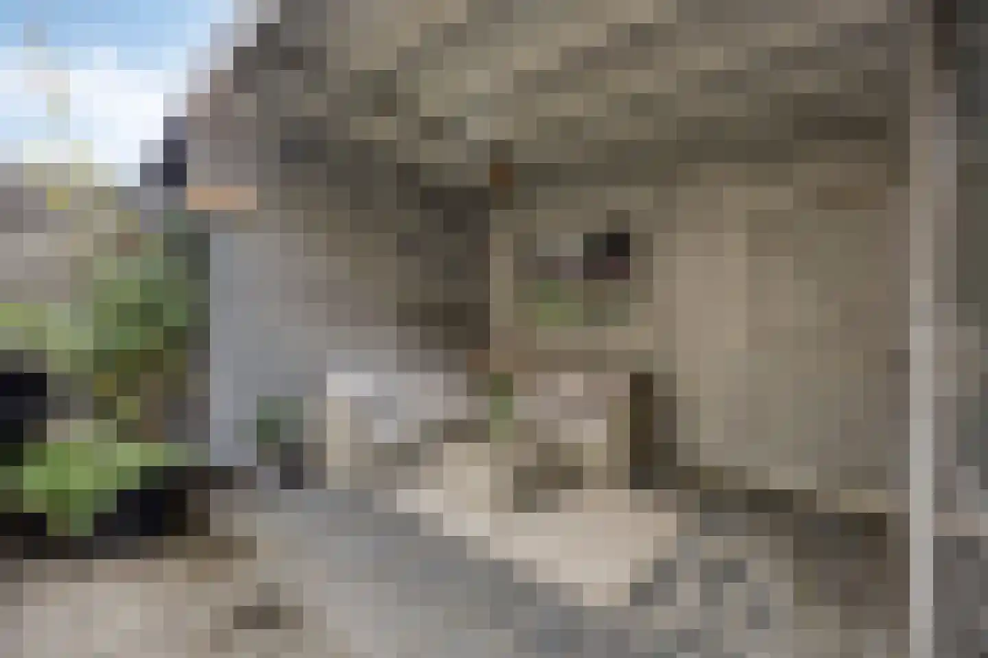 Beemd 21 Spierdijk thumbnail 30