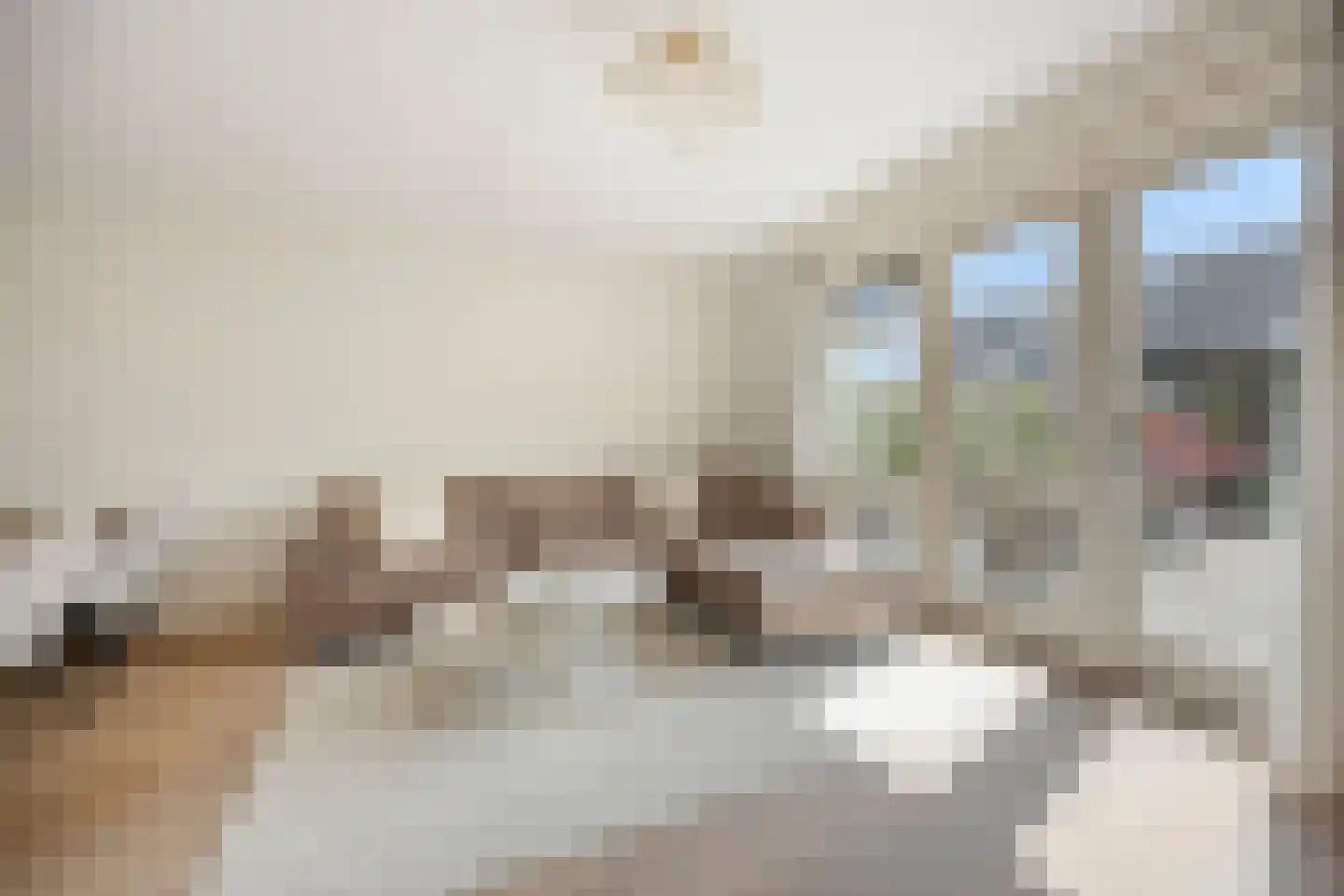 Beemd 21 Spierdijk thumbnail 7