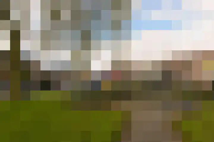 Beemd 25 Spierdijk thumbnail 30