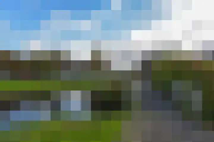 Beemd 25 Spierdijk thumbnail 32
