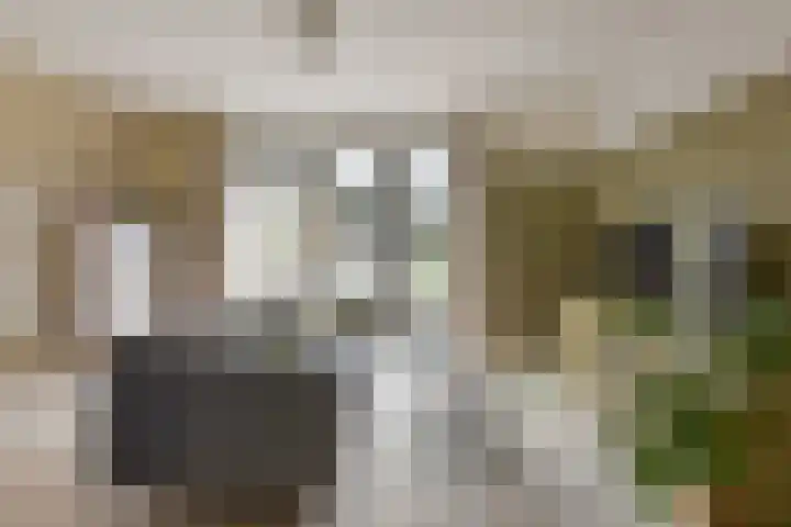 Beemd 25 Spierdijk thumbnail 4