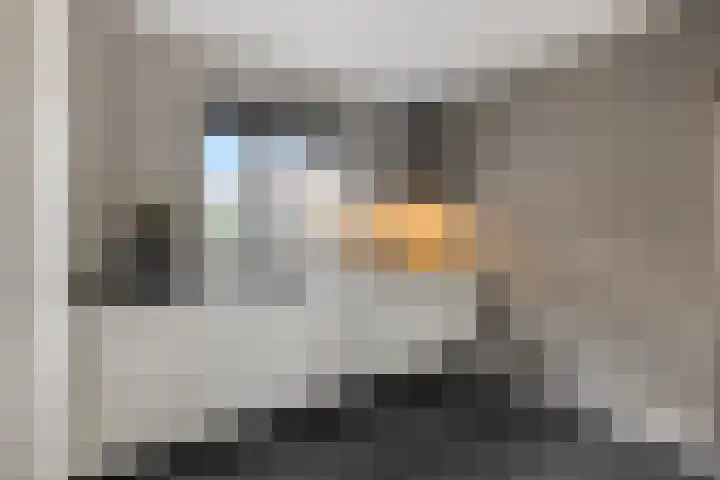 Beemd 28 Huissen thumbnail 11