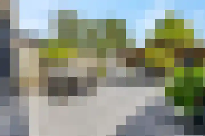 Beemd 28 Huissen thumbnail 33