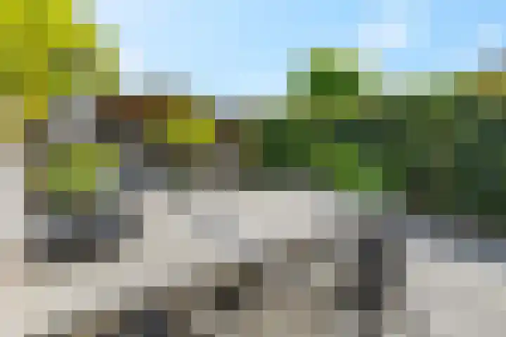 Beemd 28 Huissen thumbnail 34