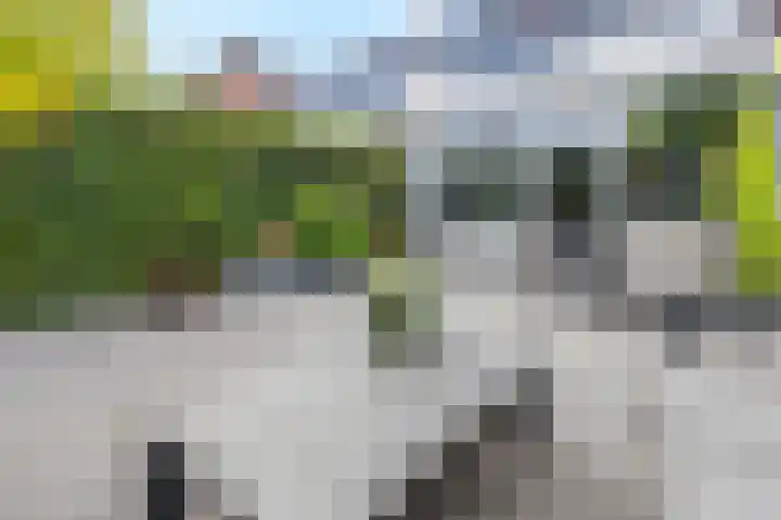 Beemd 28 Huissen thumbnail 36