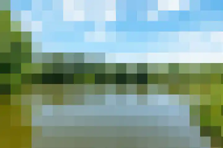 Beemd 28 Huissen thumbnail 42
