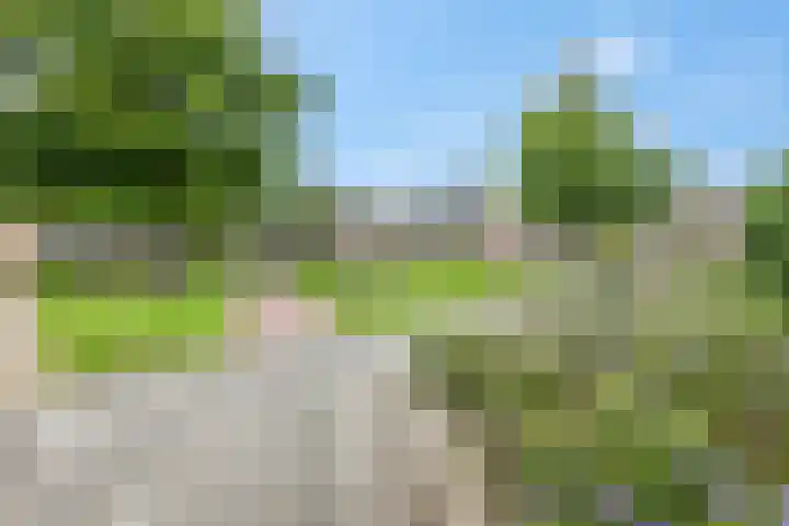 Beemd 28 Huissen thumbnail 43