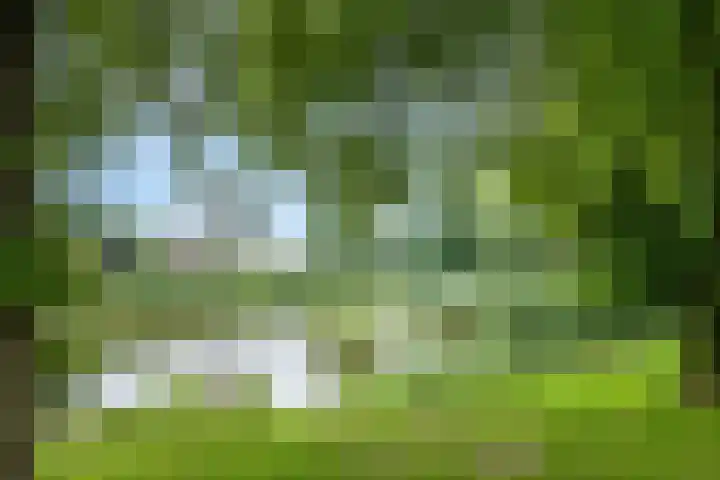 Beemd 28 Huissen thumbnail 44
