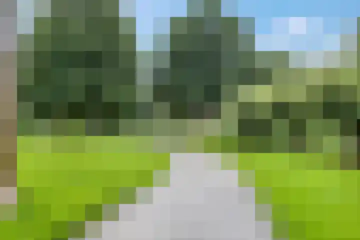 Beemd 28 Huissen thumbnail 45