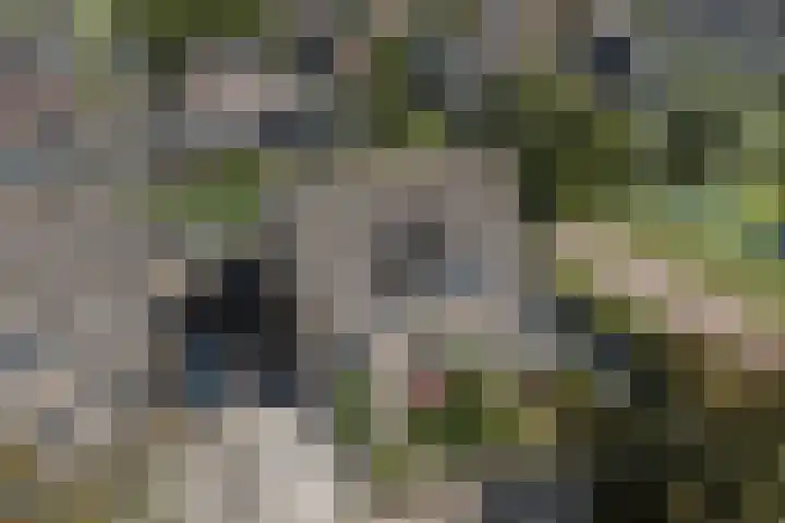 Beemd 33 Stompetoren