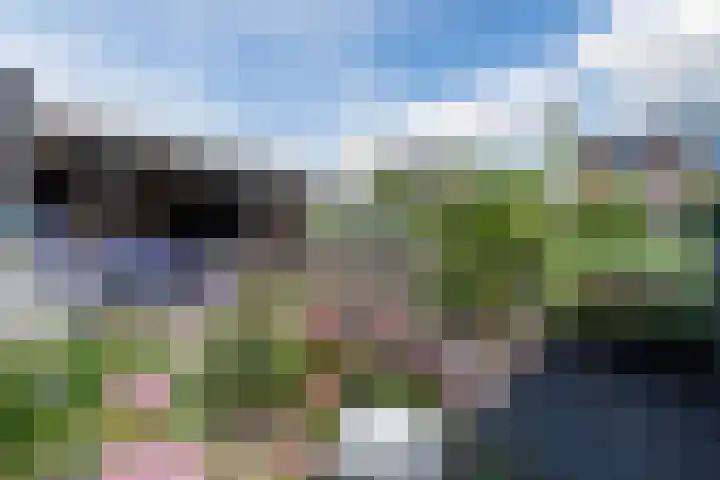 Beemd 33 Stompetoren thumbnail 15
