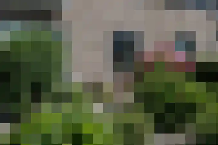 Beemd 33 Stompetoren thumbnail 31
