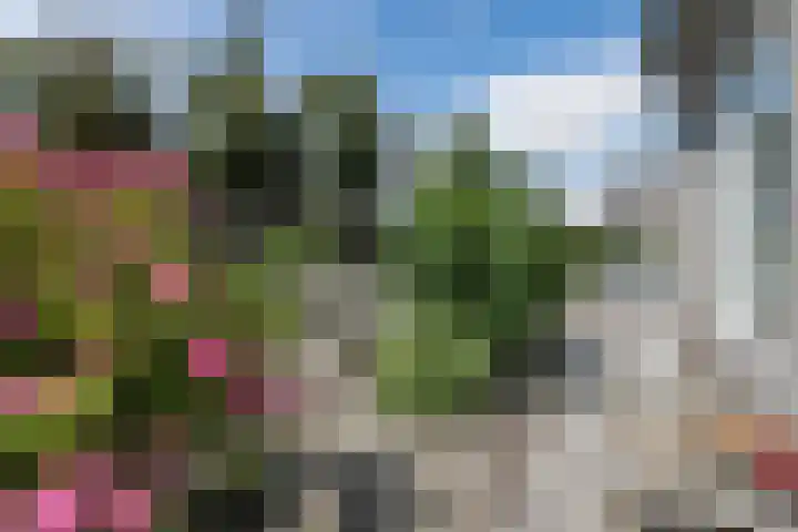 Beemd 33 Stompetoren thumbnail 33