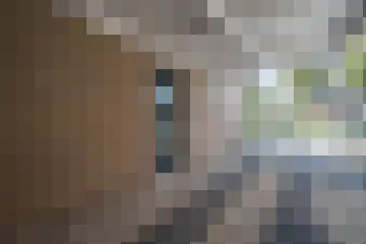 Beemd 33 Stompetoren thumbnail 34