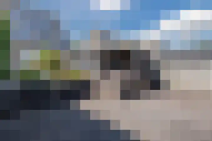 Beemd 33 Stompetoren thumbnail 38