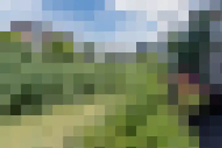 Beemd 33 Stompetoren thumbnail 42