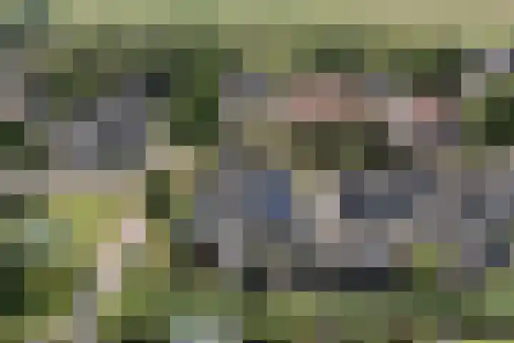 Beemd 33 Stompetoren thumbnail 44