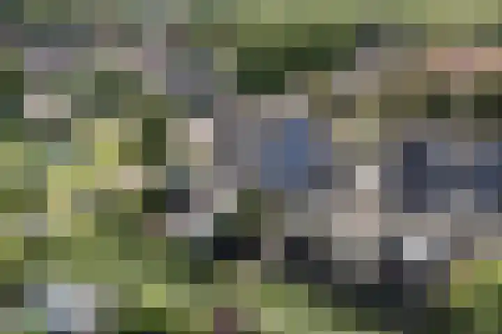 Beemd 33 Stompetoren thumbnail 45