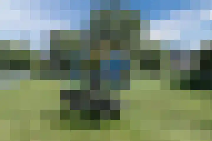 Beemd 33 Stompetoren thumbnail 47