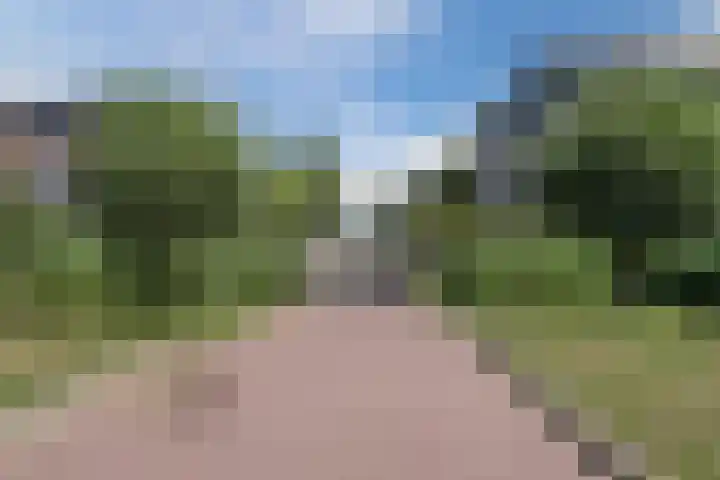 Beemd 33 Stompetoren thumbnail 48