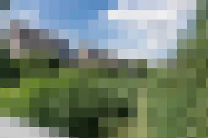 Beemd 33 Stompetoren thumbnail 49