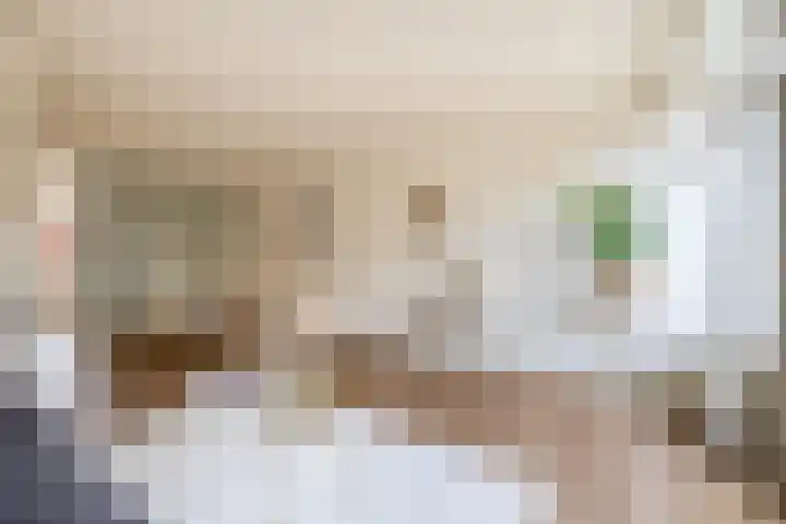Beemd 4 Borne thumbnail 12