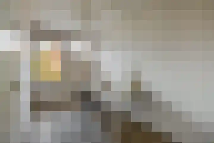 Beemd 4 Borne thumbnail 21