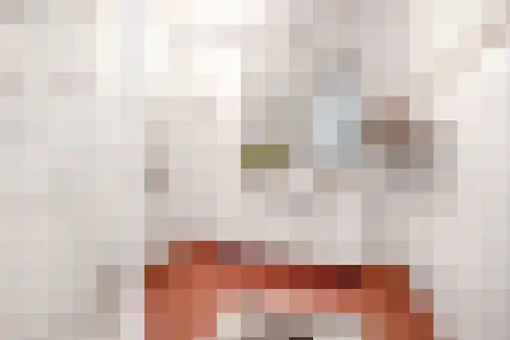 Beemd 4 Borne thumbnail 22