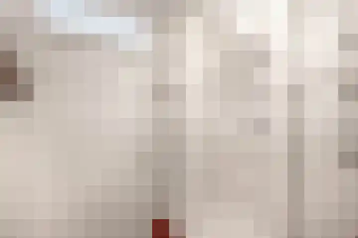 Beemd 4 Borne thumbnail 23