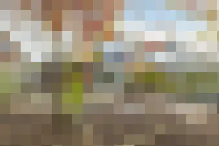 Beemd 4 Borne foto 3
