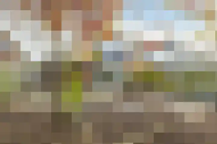 Beemd 4 Borne thumbnail 30