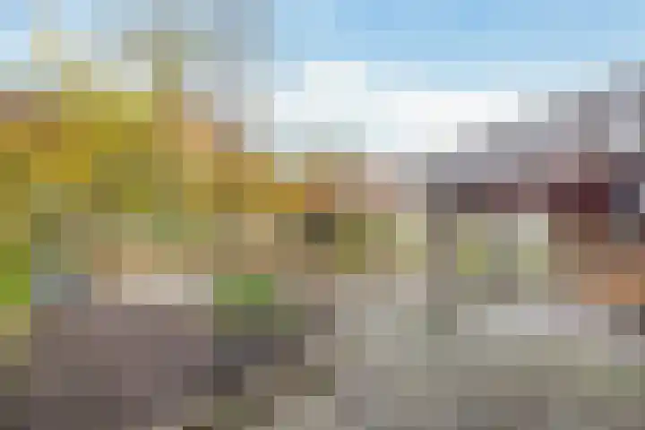 Beemd 4 Borne thumbnail 33