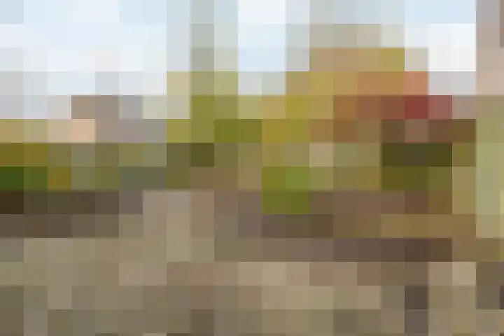 Beemd 4 Borne thumbnail 34