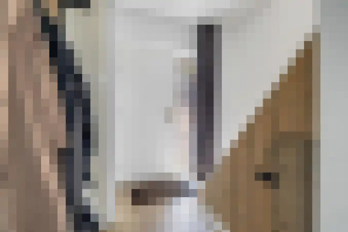Beemd 9 Bavel thumbnail 12