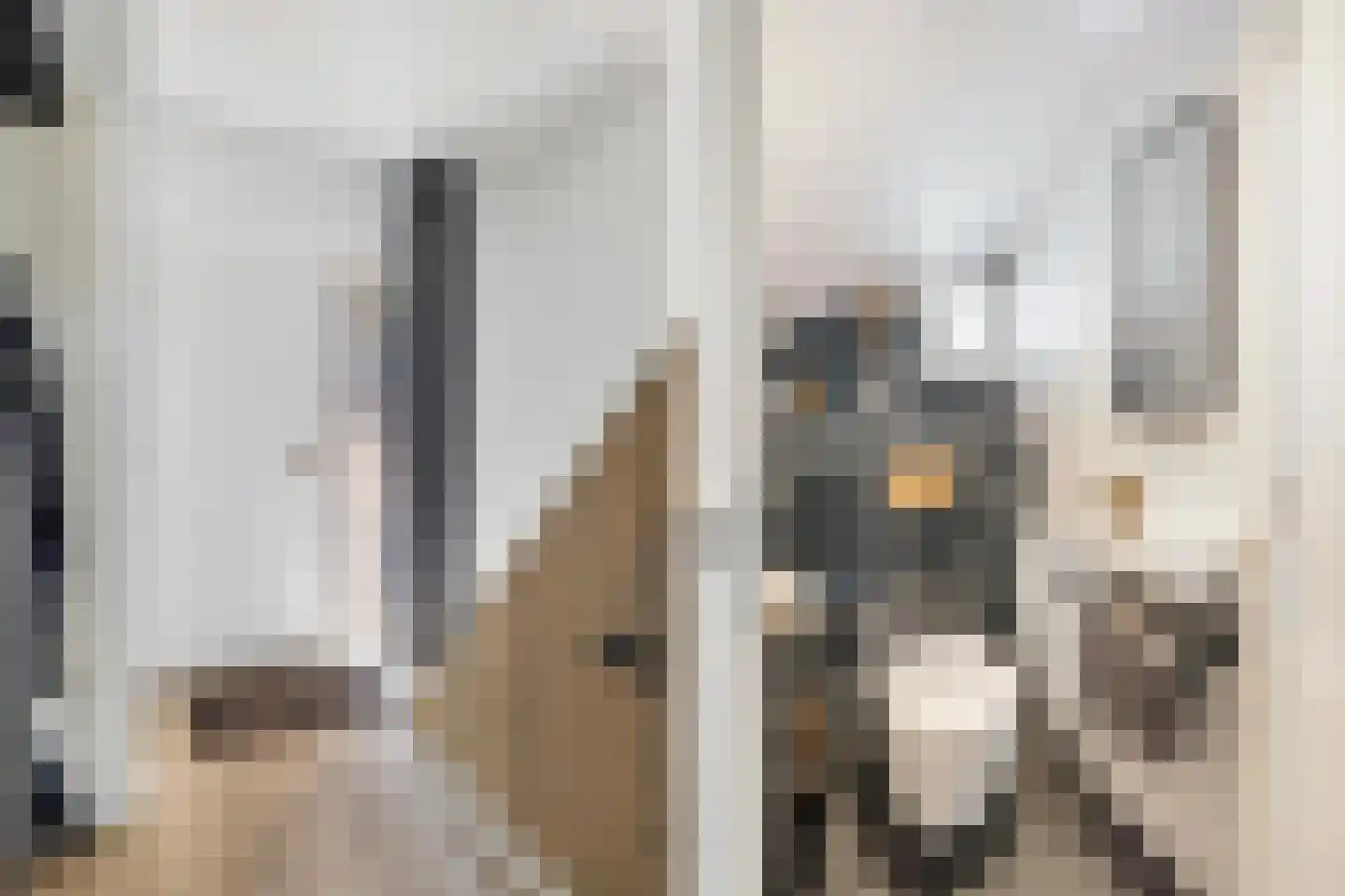 Beemd 9 Bavel thumbnail 13