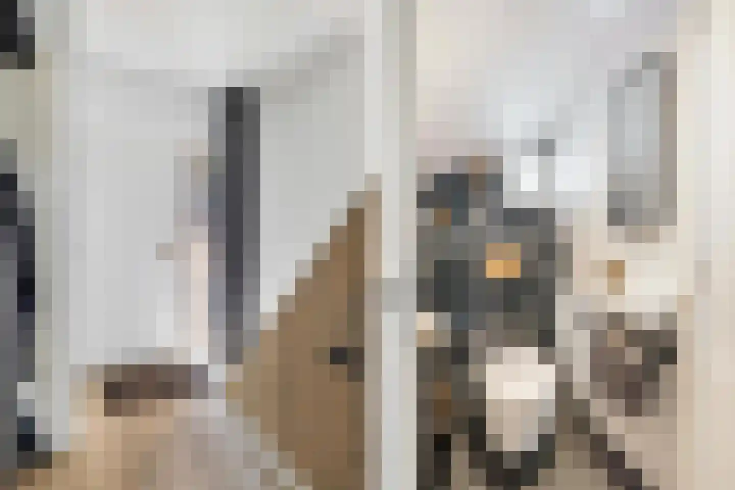 Beemd 9 Bavel thumbnail 14