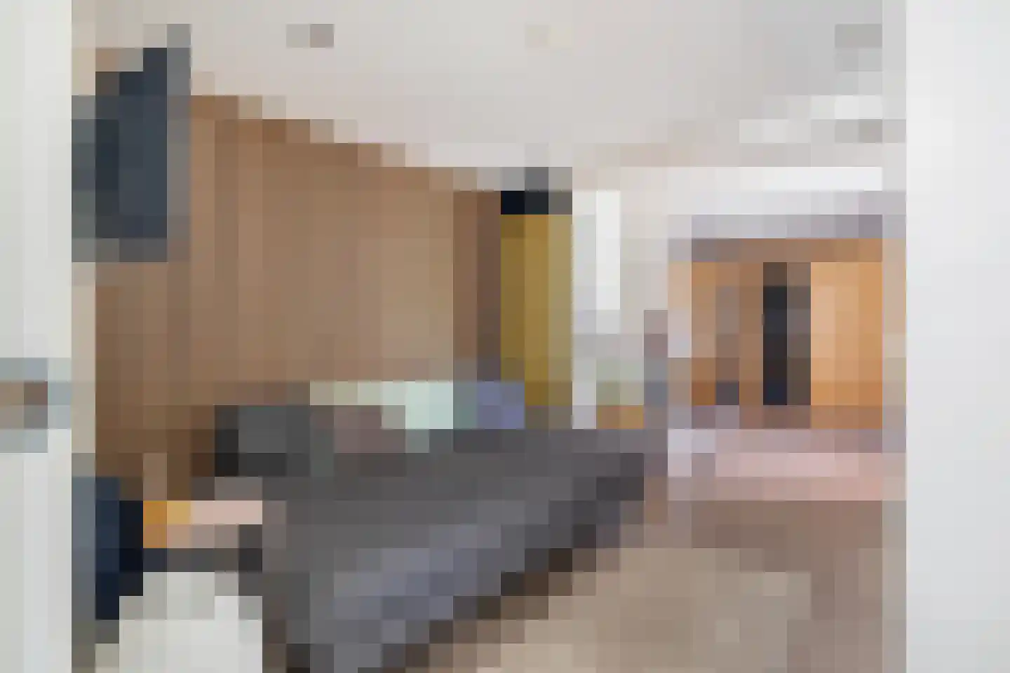 Beemd 9 Bavel thumbnail 36