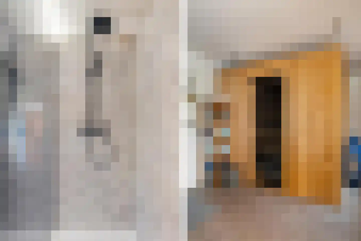 Beemd 9 Bavel thumbnail 36