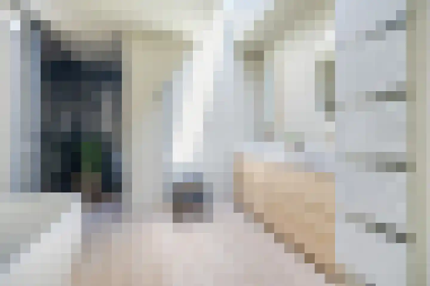 Beemd 9 Bavel thumbnail 56