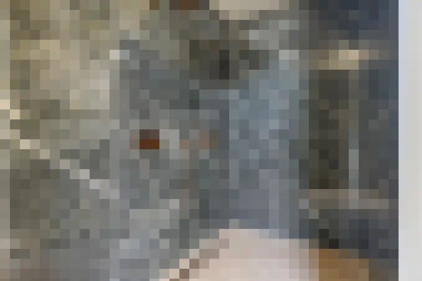 Beemd 9 Bavel thumbnail 58