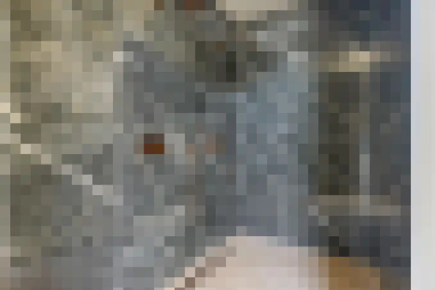 Beemd 9 Bavel thumbnail 59