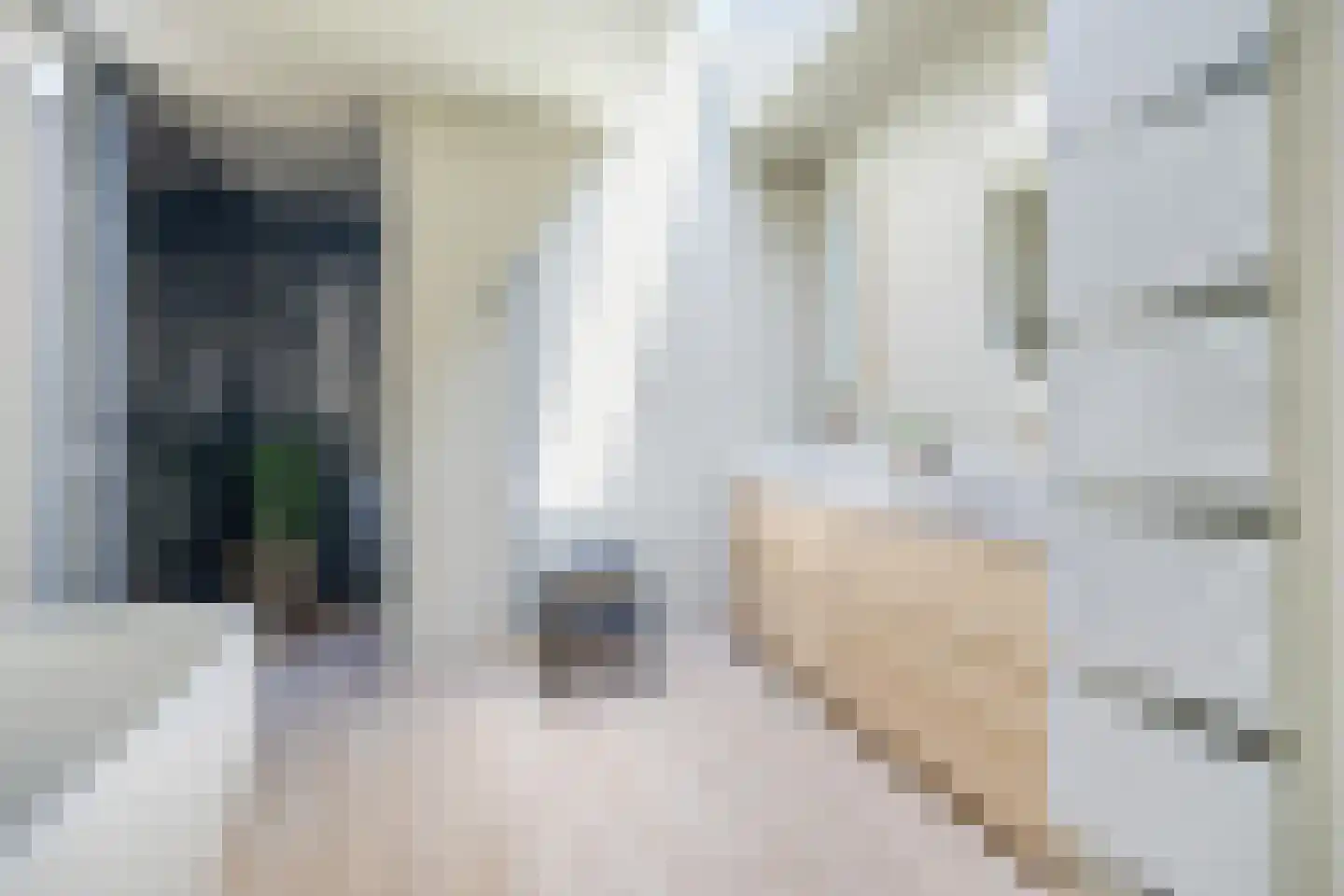 Beemd 9 Bavel thumbnail 6