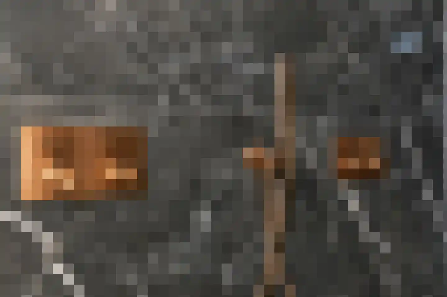 Beemd 9 Bavel thumbnail 60