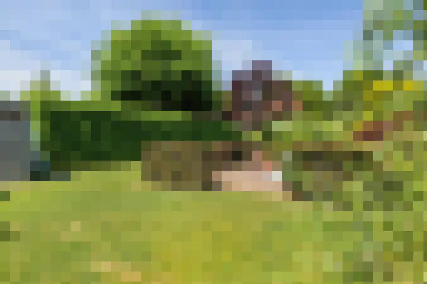 Beemd 9 Bavel thumbnail 73