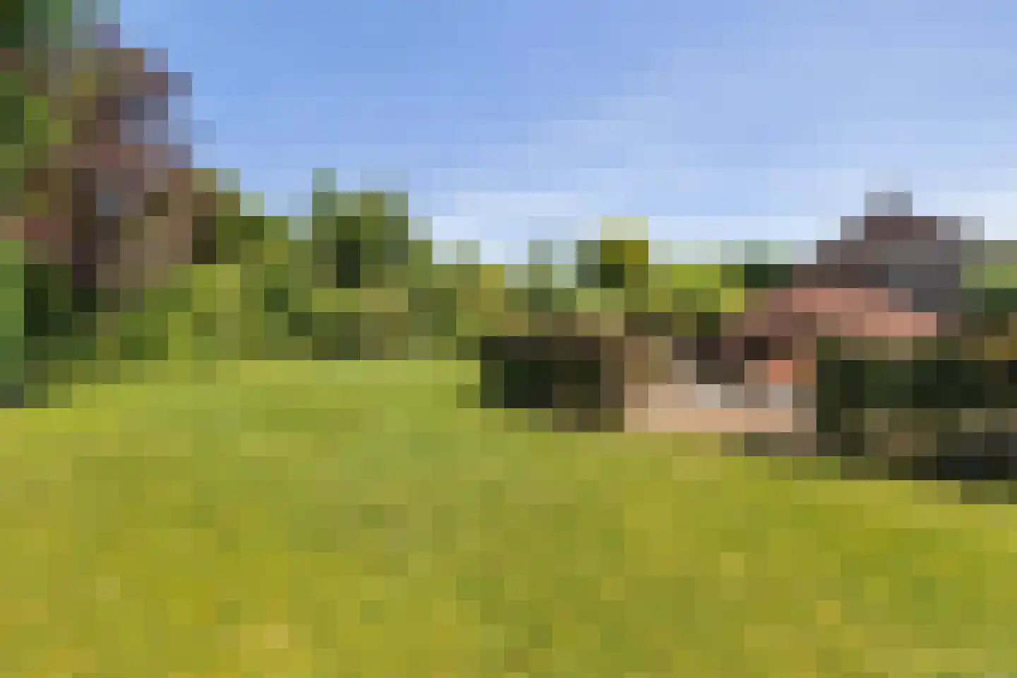 Beemd 9 Bavel thumbnail 74