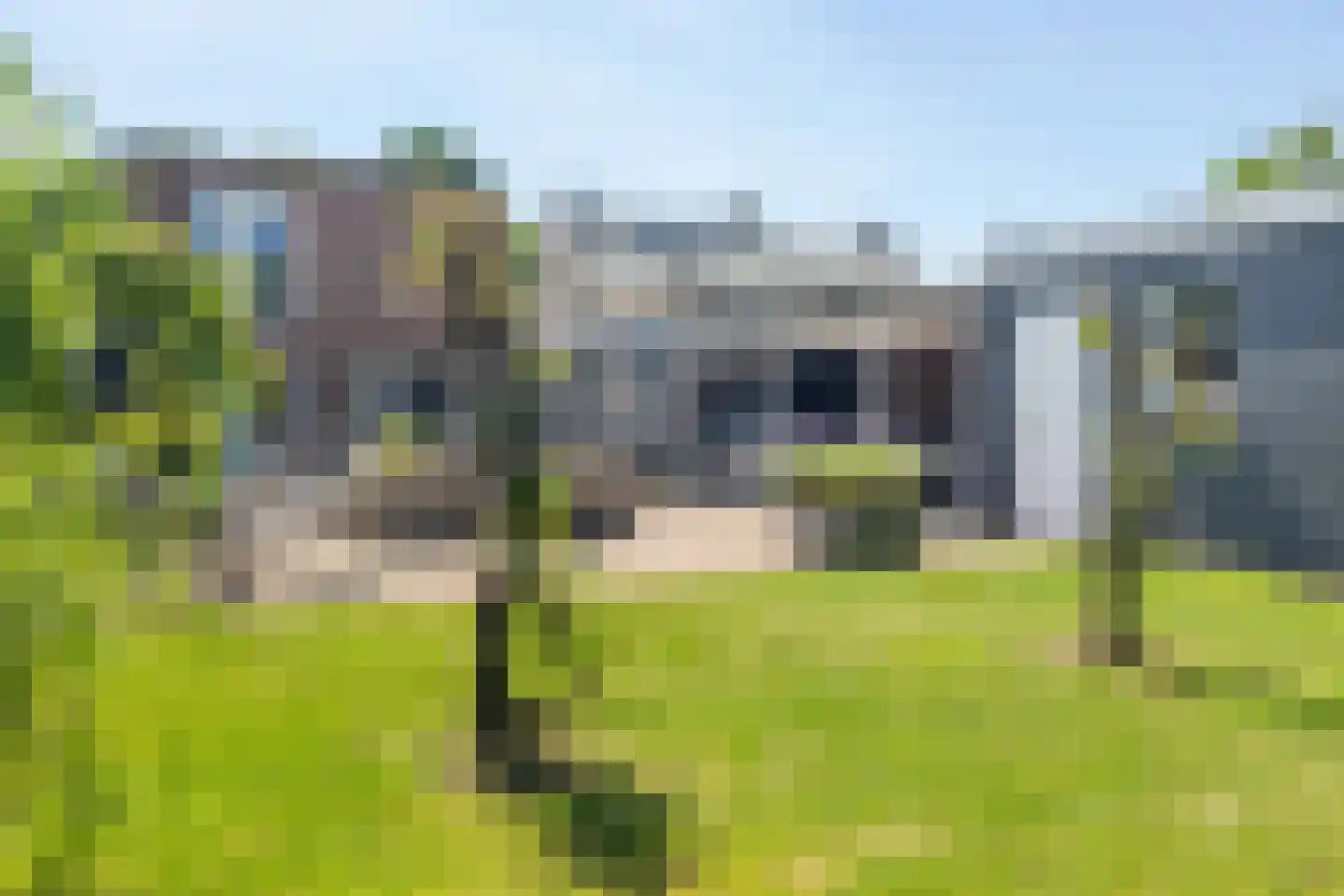 Beemd 9 Bavel thumbnail 77